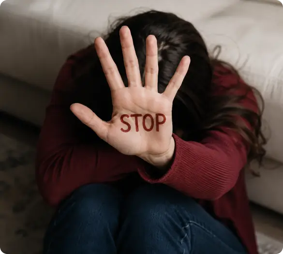 Domestic Violence Attorney Image