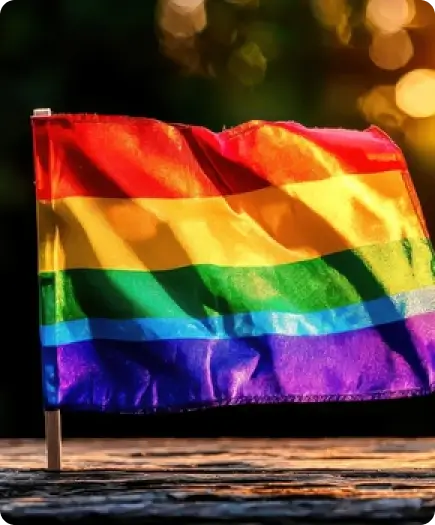 LGBT Family Law Image