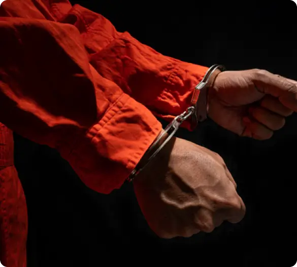 Federal and State Offenses Attorney Image